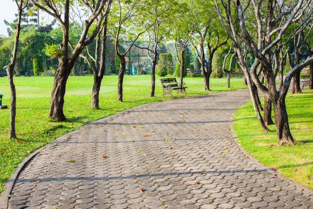 stamford Concrete Paths and Sidewalks